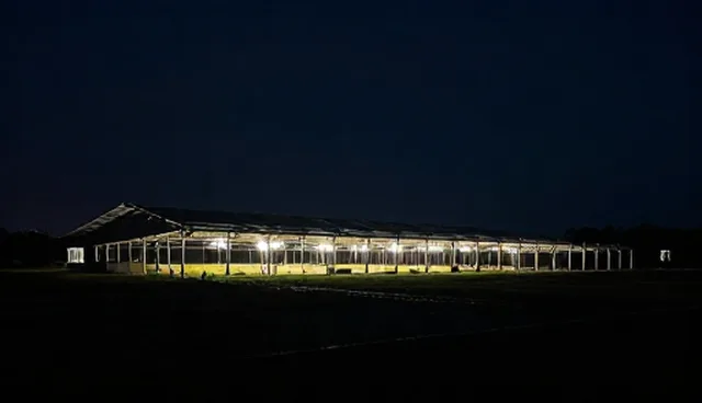 企业信息化方案在短视频营销中的适用条件与限制